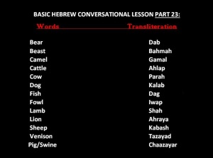 Basic Hebrew Lesson Part 23